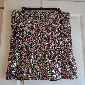 Sequin Skirt Size 2xl